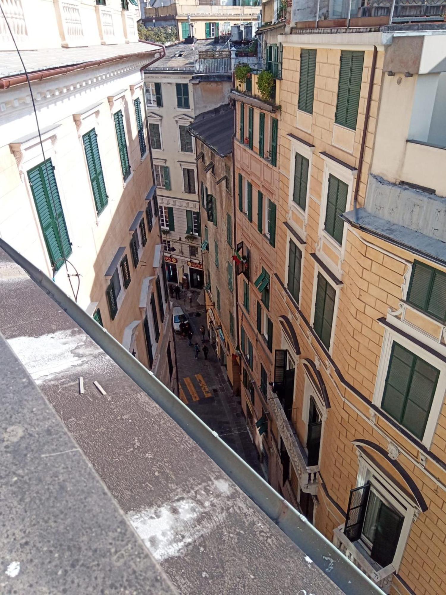 Doge Cambiaso- Un Dentro La Storia *